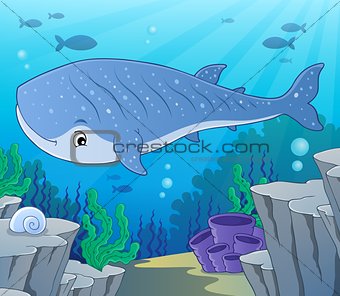 Whale shark theme image 2