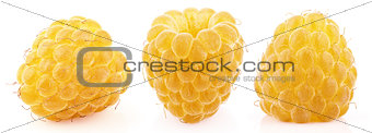 Collection of single yellow raspberry fruits isolated on white