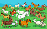 horses and goats farm animal characters group