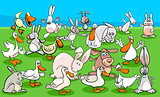 ducks and rabbits farm animal characters group