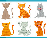 funny cats and kittens animal characters set