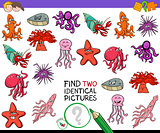 find two identical animals game for kids
