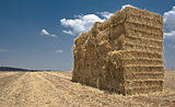 Squared bales of straw