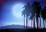 Palm tree landscape at night
