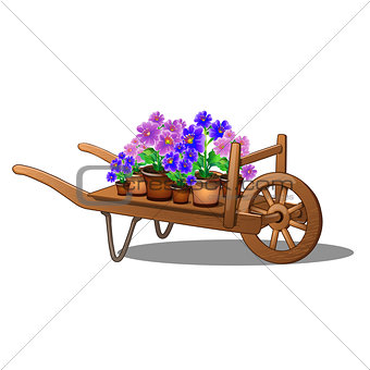 Wooden cart with potted flowers isolated on white background. Cartoon vector illustration close-up.