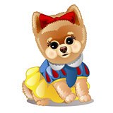 Little fluffy dog in clothes. Vector illustration.