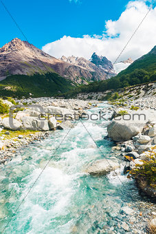 Mountain brook in the national park Los Glaciares