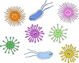Bacteria and germs colorful set, micro-organisms disease-causing objects, bacteria. Vector cartoon illustration.