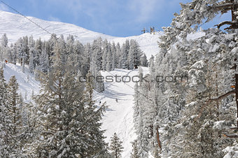 Ski resort winter wonderland
