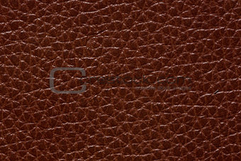 Contrast leather texture in perfective brown colour.