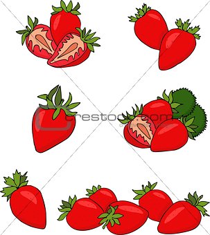Strawberry fruit vector
