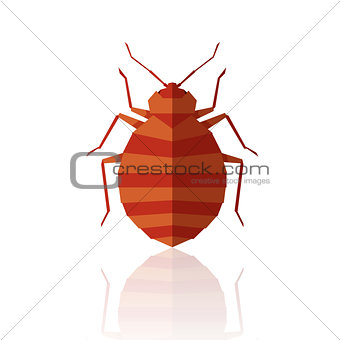 Flat geometric bedbug