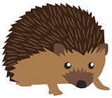Vector Cute Hedgehog 