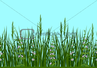 Grass and Flowers, Seamless