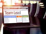 Team Lead Job Vacancy. 3D.