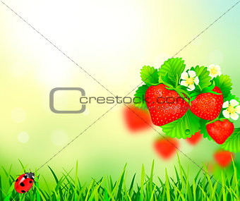 Strawberry, summer background 