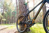 Mountain Bike on Summer Trail in the Beautiful Pine Forest Lit by the Sun. Adventure and Cycling Concept.