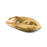 Gold leaf on white background