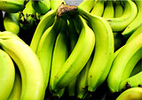 Many green bananas