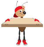 Fast delivery of pizza. Ant courier holds cardboard box