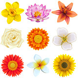 Vector Flower Icons Set 2