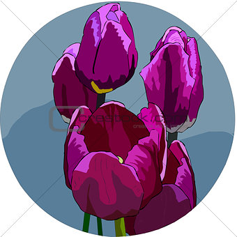 Bouquet of five lilac tulips on a gray background