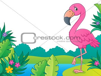 Flamingo topic image 3