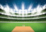 Cricket Stadium with Spotlights.