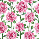 Rose flowers, petals and leaves in watercolor style on white background. Seamless pattern for textile, wrapping paper, package,