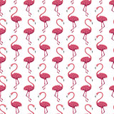 Flamingo White Seamless Pattern