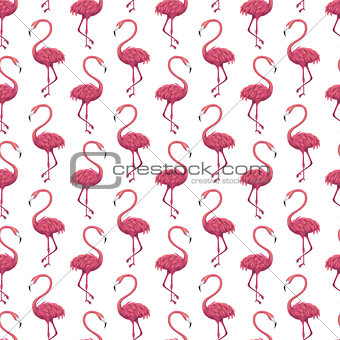 Flamingo White Seamless Pattern