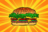 Fast food Burger, hamburger