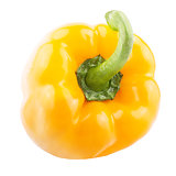  One Fresh sweet peppers bell over white background