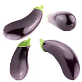 Collection of four fresh eggplant over white background