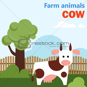 Farm animal cow