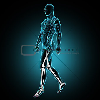 3D male medical figure walking with leg bones highlighted