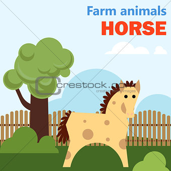 Farm animal horse