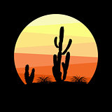 Mexican desert