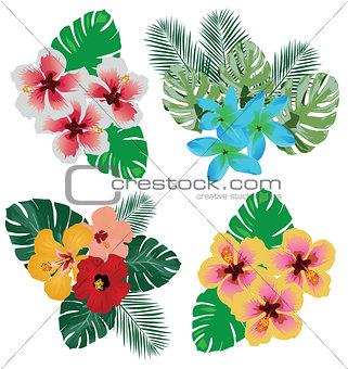 Vector Tropical Flowers