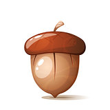 Cartoon acorn, nuts on the white background.