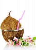coconut stylized as glass for coctail