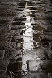 Wet paved street background