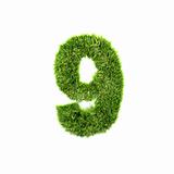 grass number