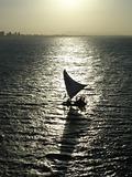 Sail Boat Silhouette