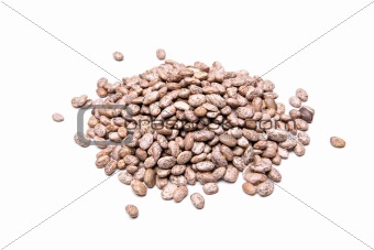 pinto beans isolated