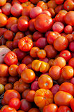 Pile of ripe tomatoes