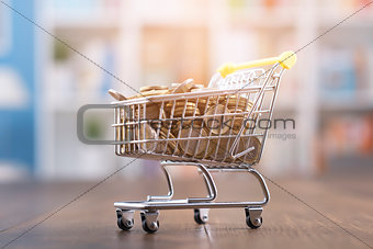 Miniature shopping cart full of coins