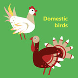 Domestic birds rooster and turkey