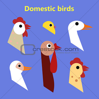 Set of Domestic birds heads