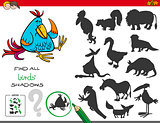 educational shadows game with birds